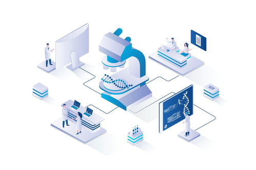 中國(guó)在關(guān)鍵技術(shù)領(lǐng)域的全球研發(fā)領(lǐng)先地位 機(jī)遇與挑戰(zhàn)并存