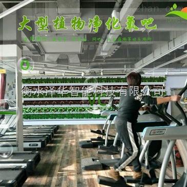 52A室內(nèi)工廠制氧凈化設(shè)備 五重凈化與智能網(wǎng)絡(luò)的融合創(chuàng)新